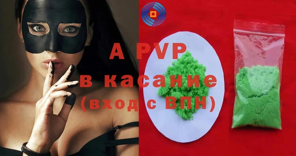 шишки Белокуриха