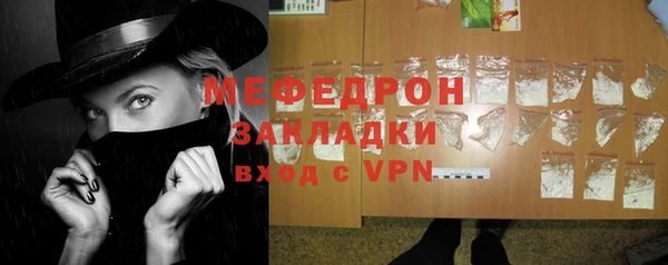 шишки Белокуриха