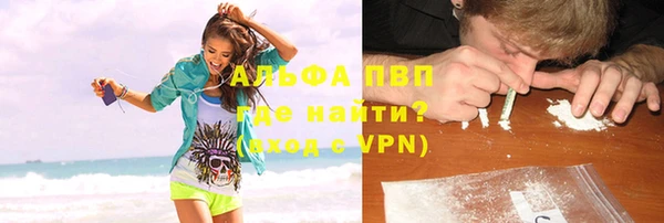 шишки Белокуриха