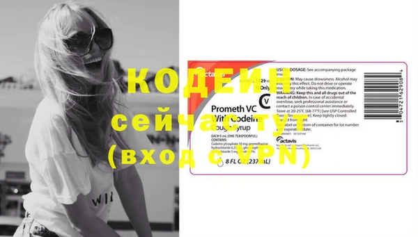 шишки Белокуриха