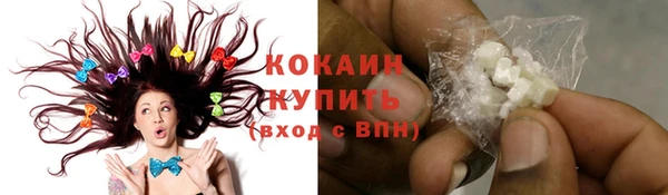 шишки Белокуриха