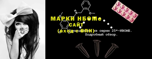 шишки Белокуриха