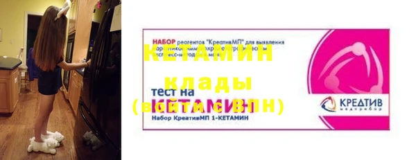шишки Белокуриха