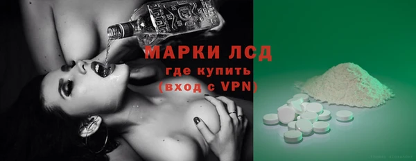шишки Белокуриха