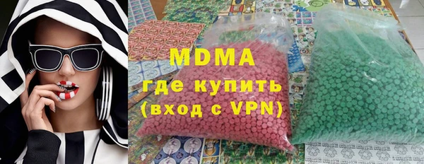 шишки Белокуриха