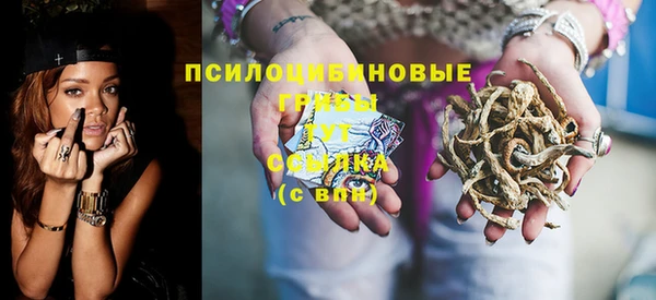 шишки Белокуриха