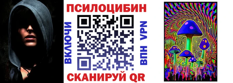 Псилоцибиновые грибы мицелий  закладки  Кондрово 